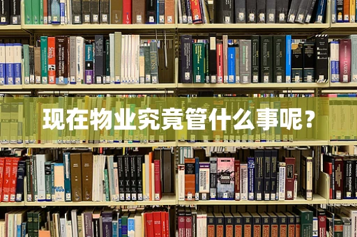 现在物业究竟管什么事呢？
