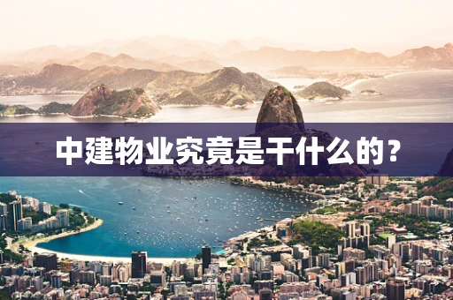 中建物业究竟是干什么的？