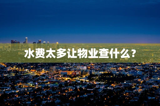 水费太多让物业查什么？