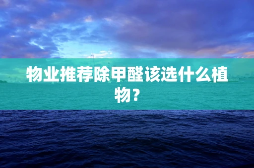 物业推荐除甲醛该选什么植物？