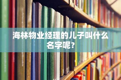海林物业经理的儿子叫什么名字呢？