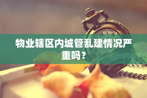 物业辖区内城管乱建情况严重吗？