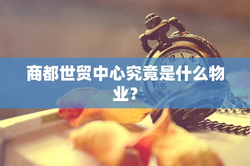 商都世贸中心究竟是什么物业？
