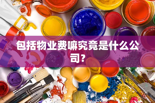 包括物业费嘛究竟是什么公司？