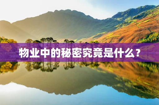 物业中的秘密究竟是什么？