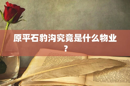 原平石豹沟究竟是什么物业？