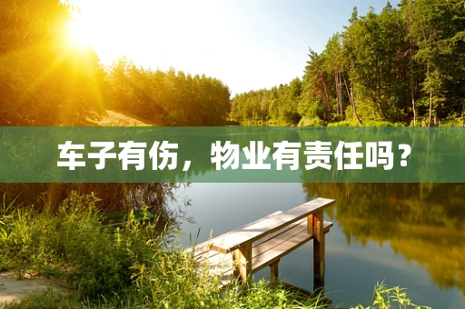 车子有伤，物业有责任吗？