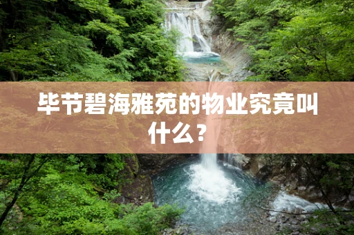 毕节碧海雅苑的物业究竟叫什么？