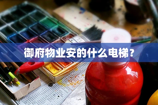 御府物业安的什么电梯？