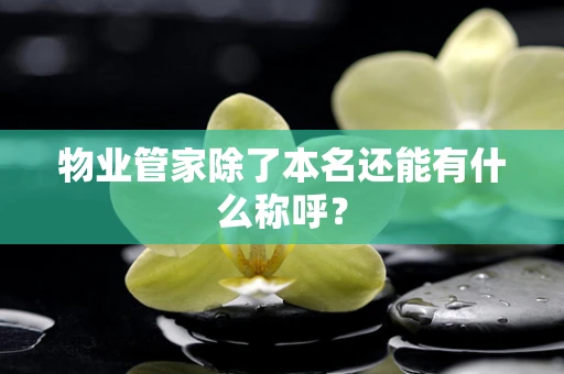 物业管家除了本名还能有什么称呼？