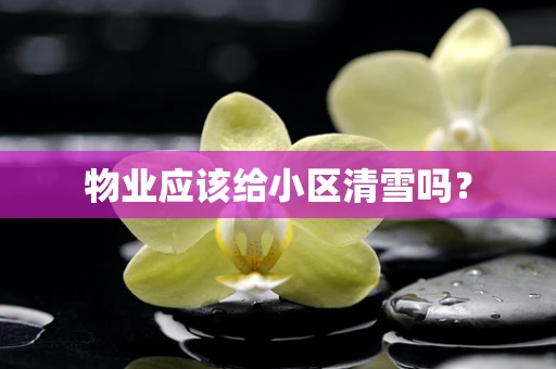 物业应该给小区清雪吗？