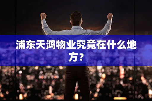 浦东天鸿物业究竟在什么地方？