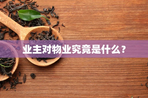 业主对物业究竟是什么？