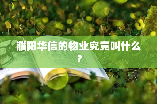 濮阳华信的物业究竟叫什么？