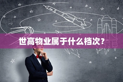 世高物业属于什么档次？