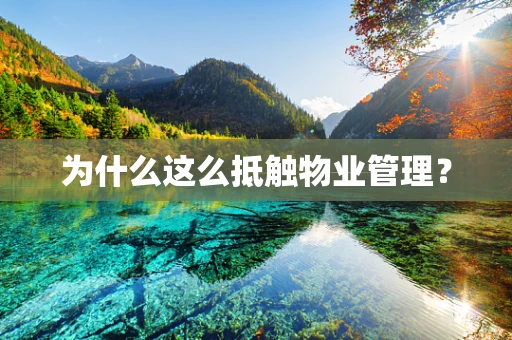 为什么这么抵触物业管理？