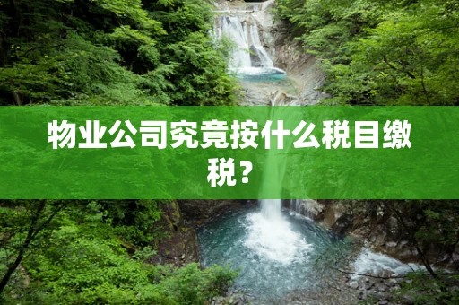 物业公司究竟按什么税目缴税？
