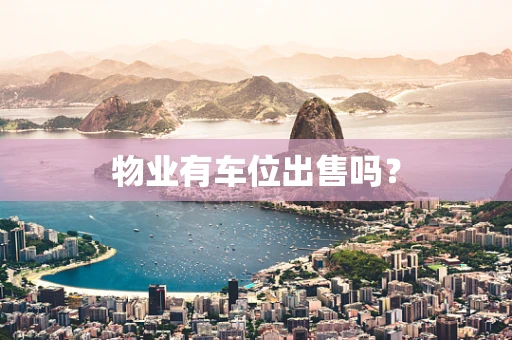物业有车位出售吗？