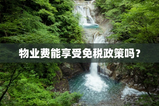 物业费能享受免税政策吗？