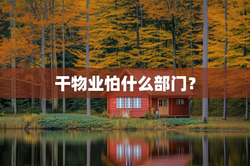 干物业怕什么部门？