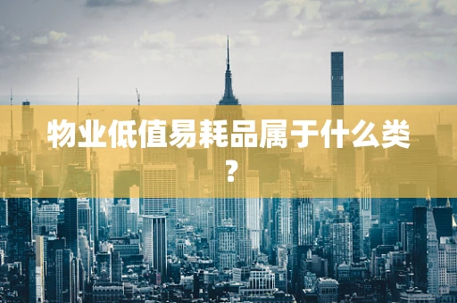 物业低值易耗品属于什么类？