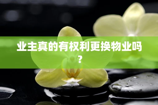 业主真的有权利更换物业吗？