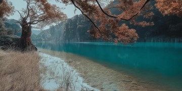 华庆里小区物业有什么限制吗？