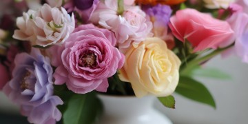 物业送的花究竟是什么？