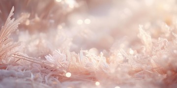 结婚往物业群发什么短信合适呢？