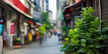 达州物业今年招保安吗？
